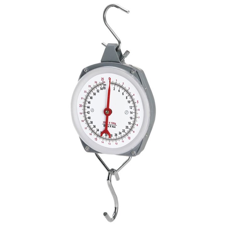 BORMANN DS1100 Ζυγαριά Κρεμαστή Αναλογική 100Kg/100Gr (Εργαστηριακή χρήση)